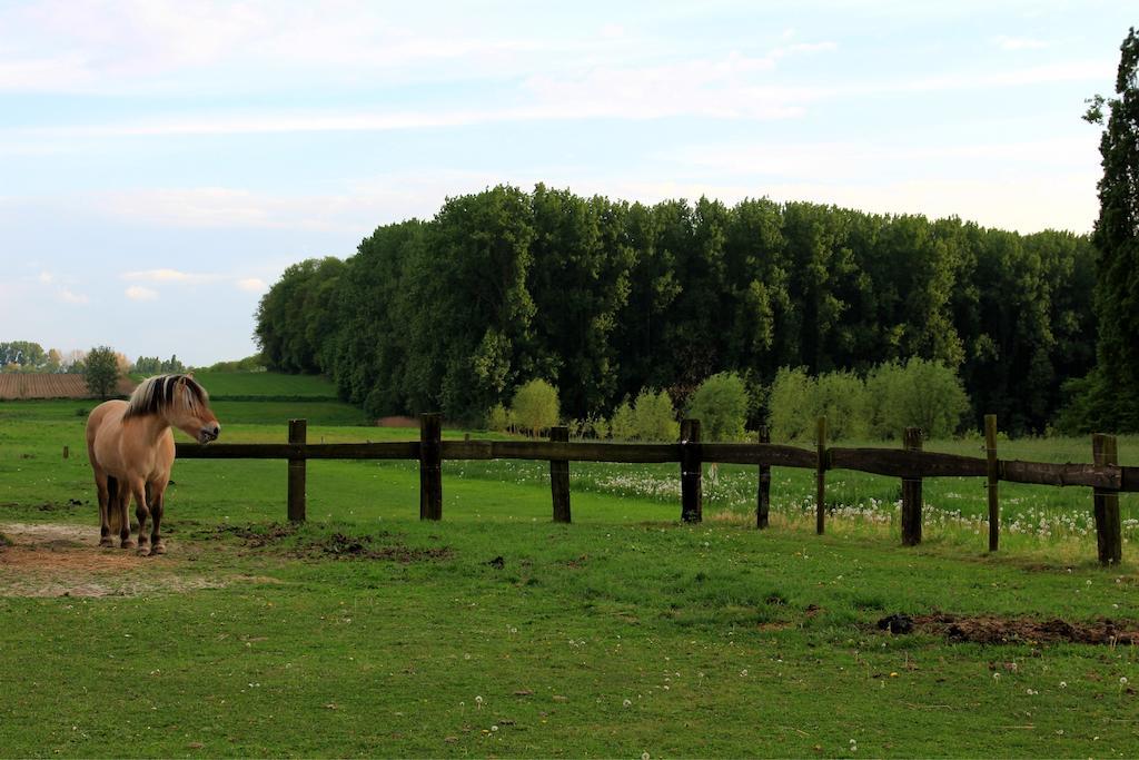 B&B Laurus Ypres Zewnętrze zdjęcie